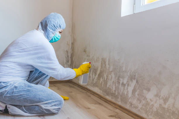 Licensed Mold Remediation service in Durham, NC - 24 Hour Mold Removal