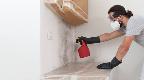 Professional Mold Remediation technician working in Durham, NC