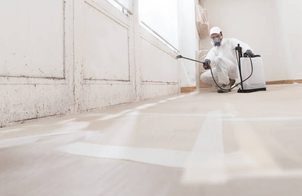 24/7 Emergency Mold Remediation experts in Durham, NC