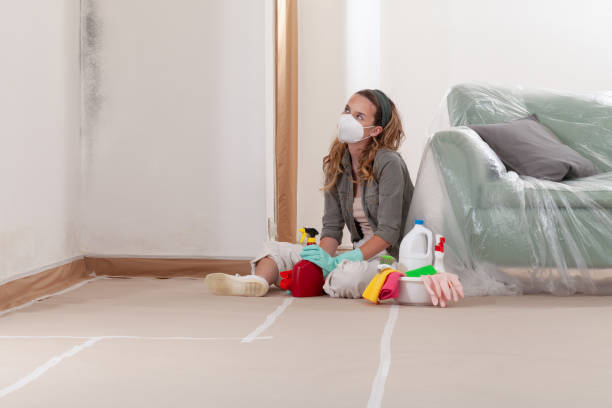 Reliable Mold Remediation contractor in Durham, NC by 24 Hour Mold Removal