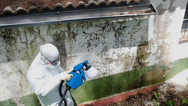 Top rated local Mold Remediation specialists in Durham, NC